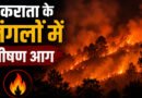 चकराता के जंगलों में भीषण आग, सेब के बाग और छानियां जलकर राख, एक व्यक्ति गंभीर झुलसा