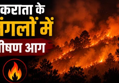 चकराता के जंगलों में भीषण आग, सेब के बाग और छानियां जलकर राख, एक व्यक्ति गंभीर झुलसा