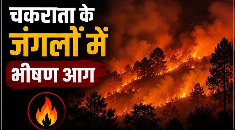 चकराता के जंगलों में भीषण आग, सेब के बाग और छानियां जलकर राख, एक व्यक्ति गंभीर झुलसा