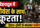 देहरादून में गोवंश से क्रूरता का मामला: ट्रैक्टर-ट्रॉली से बांधकर घसीटा, आरोपी पशु मालिक गिरफ्तार